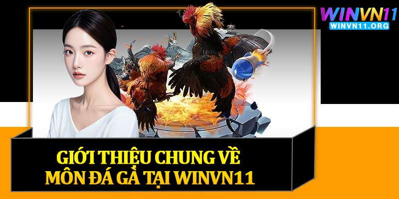 Giới Thiệu Chung Về Môn Đá Gà Tại Winvn11