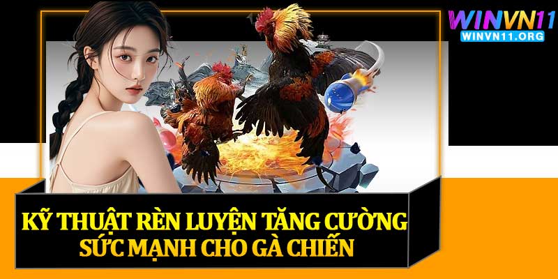 Kỹ Thuật Rèn Luyện Tăng Cường Sức Mạnh Cho Gà Chiến