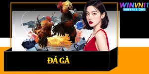 Đá Gà