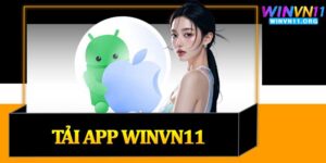 Tải App Winvn11